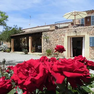 3* Hotel Na Set Centes - Adults Only